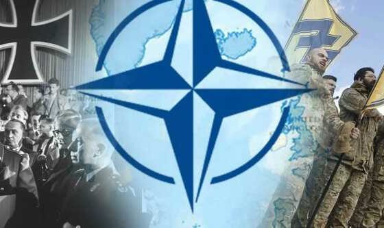 Azov-Nato-Nazi-Feature-Cynthia-560x333