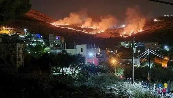 palestine.jpg_1718483346